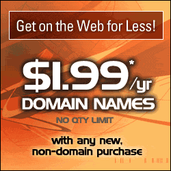 $1.99 Domain Name